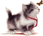 chat